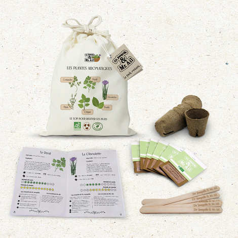 Dr. Jonquille & Mr. Ail - Kit de jardinage - Les plantes aromatiques