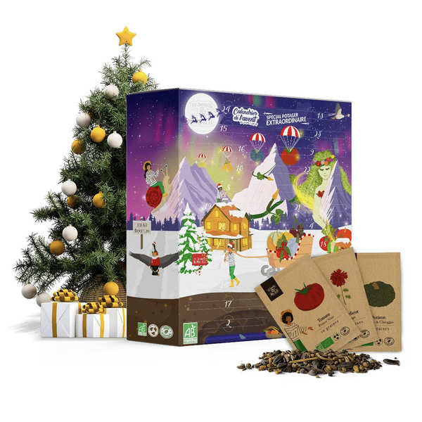 Calendrier De L'avent Graines A Planter 