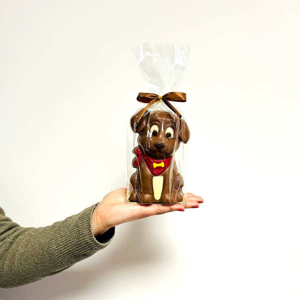 Milk chocolate dogs hotsell