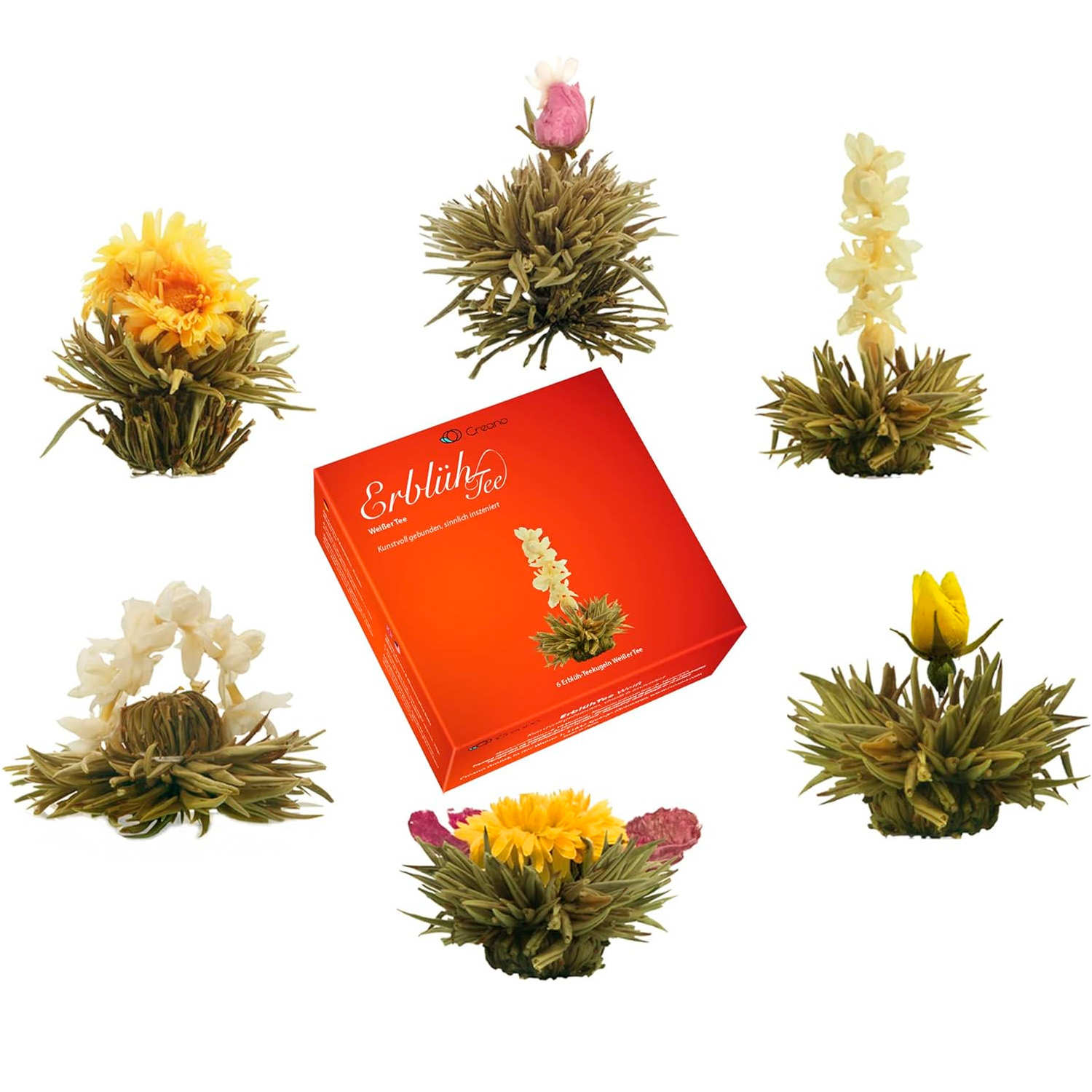 Coffret 6 fleurs de thé blanc - Creano
