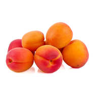 Abricot à confiture bio