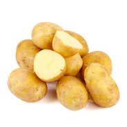 Pommes de terre grenaille variété Alcmaria