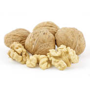 Noix de Grenoble AOP bio - gros calibre (32/34mm)