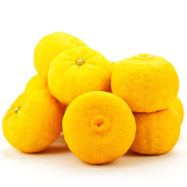 Yuzu du Japon frais Yuzu du Japon frais