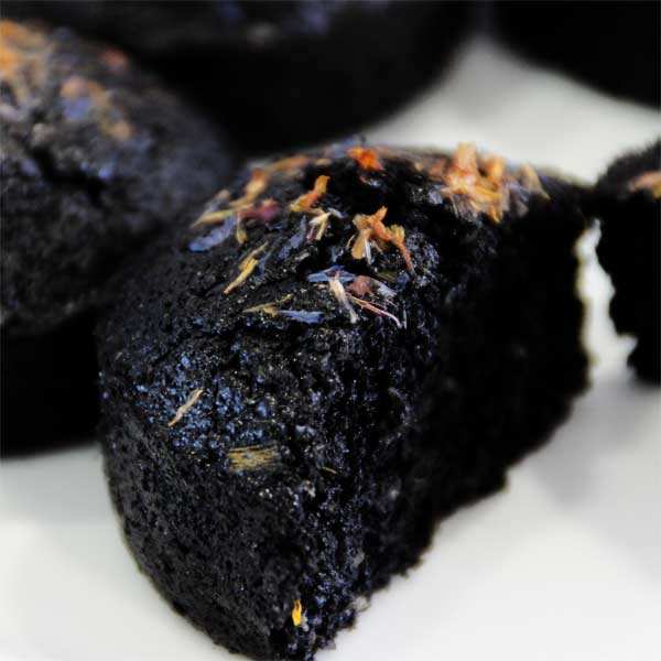 Colorant en poudre noir brillant - poudre de charbon - Sosa ingredients